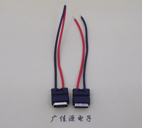 肇庆type c2p防水母座焊线式带线注塑成型带接线端子/不带接线端子充电连接器